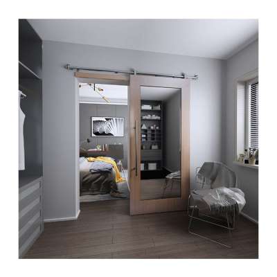 Delta project Guestroom / Bathroom Sliding mirror barn Doors